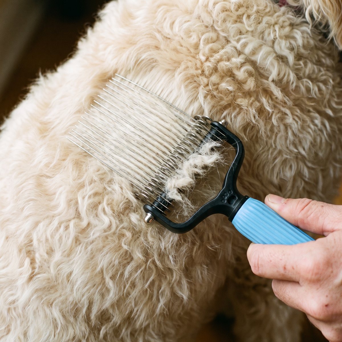 The 17-tooth side finishing a cleared section of coat